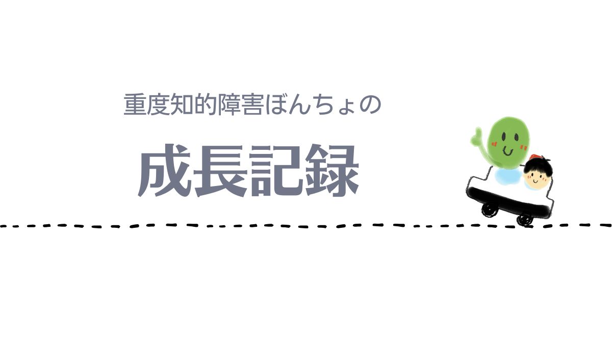 重度知的障害児ぼんちょの成長記録