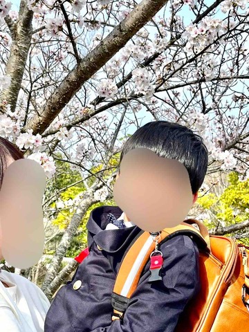 桜が咲く公園で撮影したぼんちょの入学記念写真