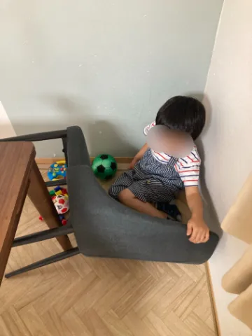 物に囲まれるぼんちょ
