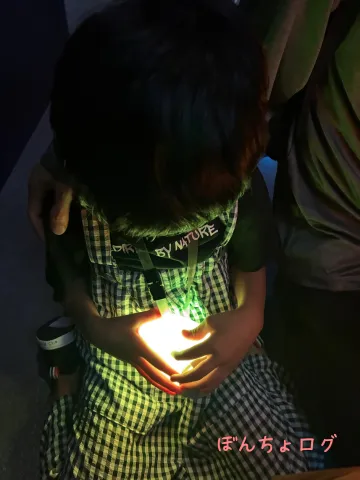 電力館の卵デバイスを観察するぼんちょ