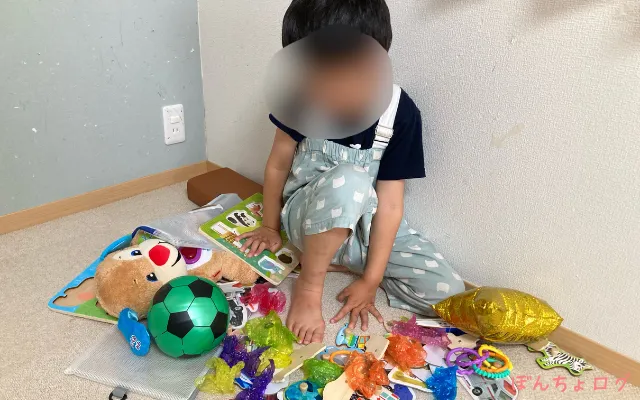 いっぱいおもちゃを出して自分の周りに集めるぼんちょの写真