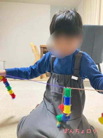 ぼんちょがひもおもちゃで遊ぶ写真