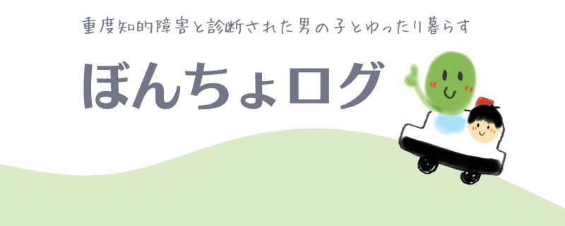 ぼんちょログ:重度知的障害児の育児記録をブログで共有